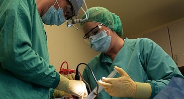 Oral Surgery